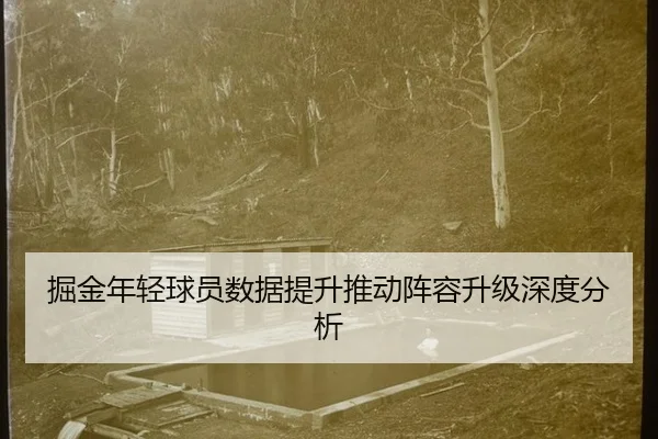 jue-jin-nian-qing-qiu-yuan-shu-ju-ti-sheng-tui-dong-zhen-rong-sheng-ji-shen-du-fen-xi-2-835.jpg